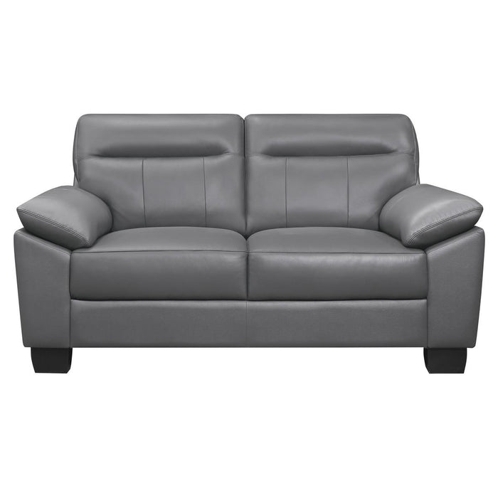 Denizen Loveseat in Dark Gray 9537DGY-2