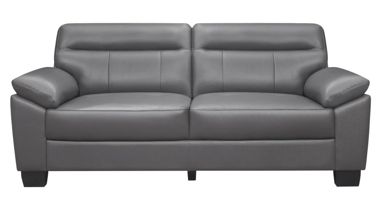 Denizen Sofa in Dark Gray 9537DGY-3